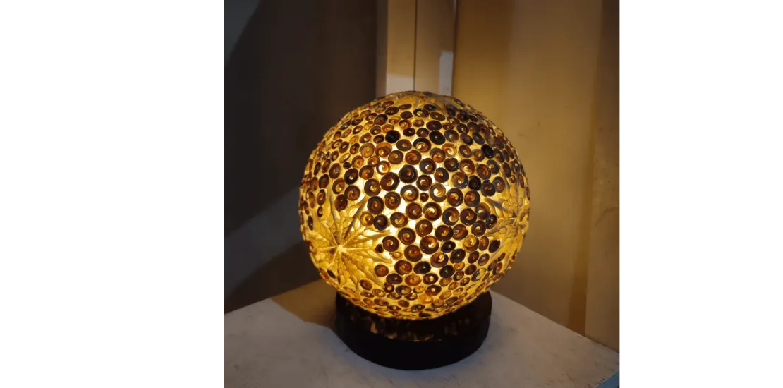 Mollusca Handicraft