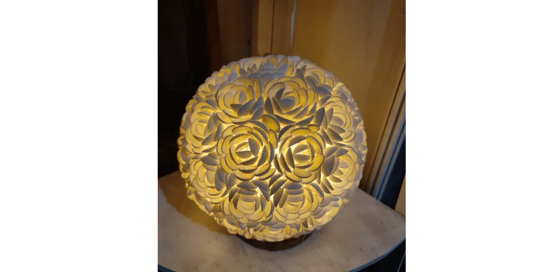 Mollusca Handicraft