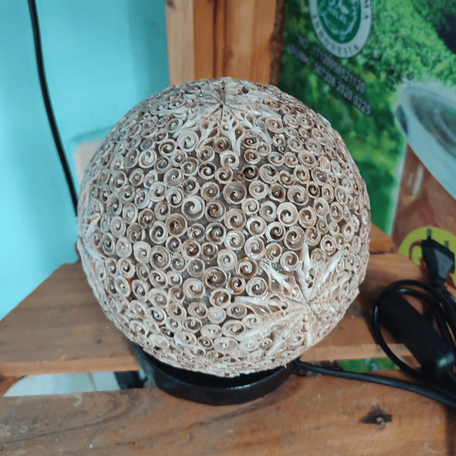 Mollusca Handicraft